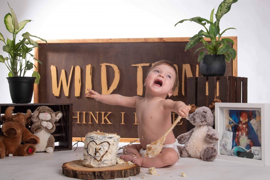 wild one cake smash with birch tree cake and wooden spoon